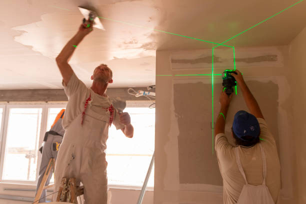 Best Ceiling Drywall Installation  in Lake Stevens, WA